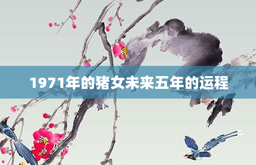 1971年的猪女未来五年的运程