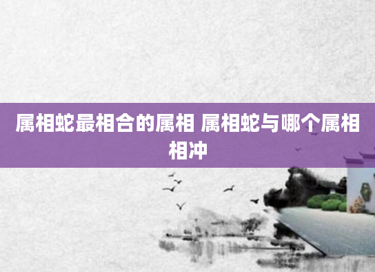 属相蛇最相合的属相 属相蛇与哪个属相相冲