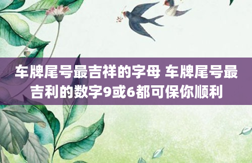 车牌尾号最吉祥的字母 车牌尾号最吉利的数字9或6都可保你顺利