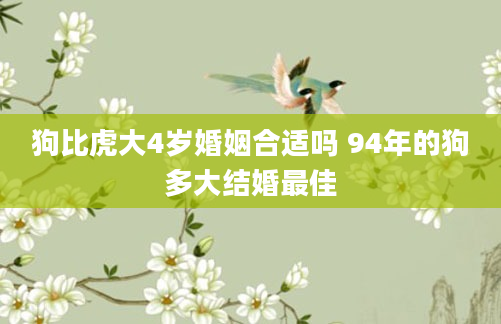 狗比虎大4岁婚姻合适吗 94年的狗多大结婚最佳