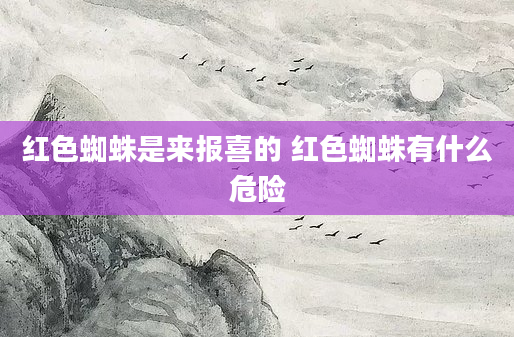 红色蜘蛛是来报喜的 红色蜘蛛有什么危险