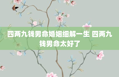 四两九钱男命婚姻细解一生 四两九钱男命太好了