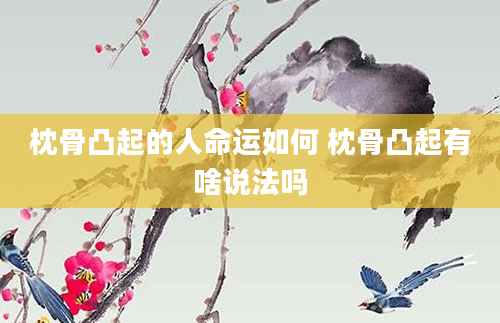 枕骨凸起的人命运如何 枕骨凸起有啥说法吗