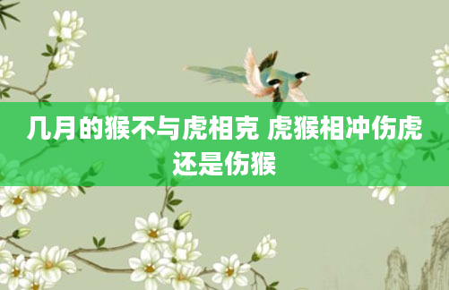 几月的猴不与虎相克 虎猴相冲伤虎还是伤猴