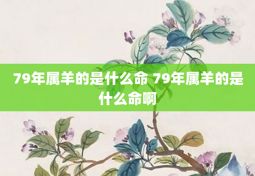 79年属羊的是什么命 79年属羊的是什么命啊