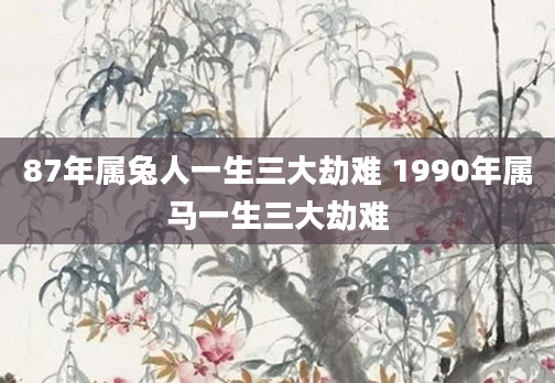 87年属兔人一生三大劫难 1990年属马一生三大劫难