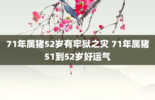71年属猪52岁有牢狱之灾 71年属猪51到52岁好运气