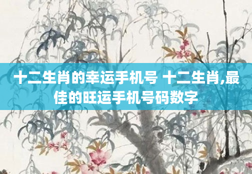 十二生肖的幸运手机号 十二生肖,最佳的旺运手机号码数字