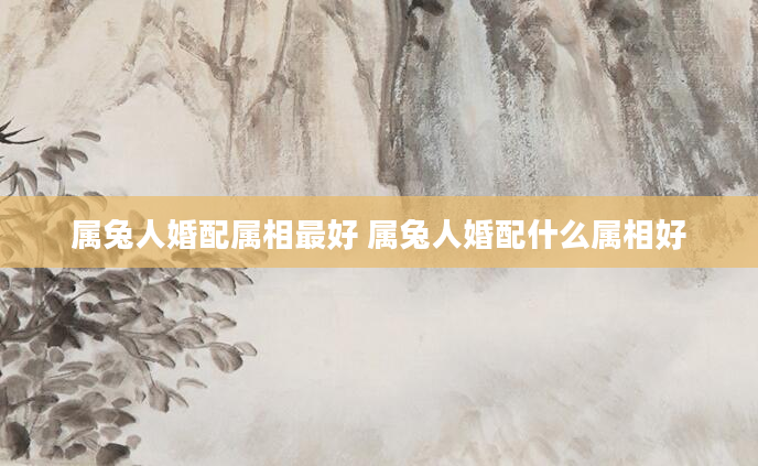 属兔人婚配属相最好 属兔人婚配什么属相好