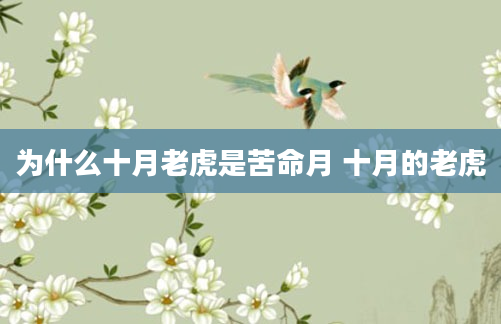 为什么十月老虎是苦命月 十月的老虎