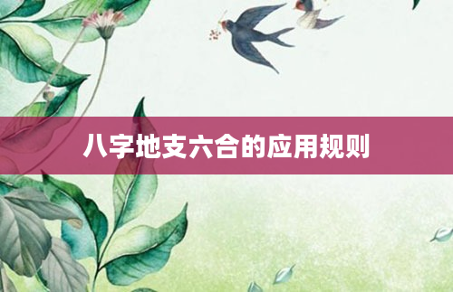 八字地支六合的应用规则