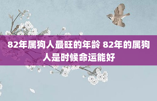 82年属狗人最旺的年龄 82年的属狗人是时候命运能好