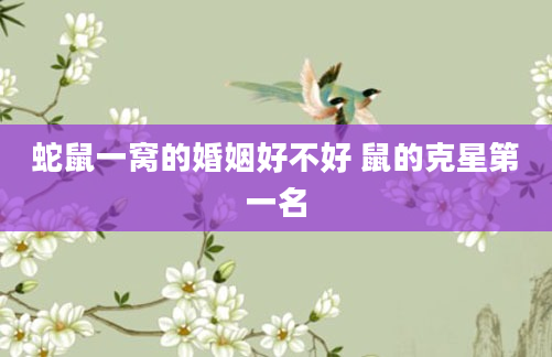 蛇鼠一窝的婚姻好不好 鼠的克星第一名