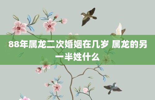 88年属龙二次婚姻在几岁 属龙的另一半姓什么