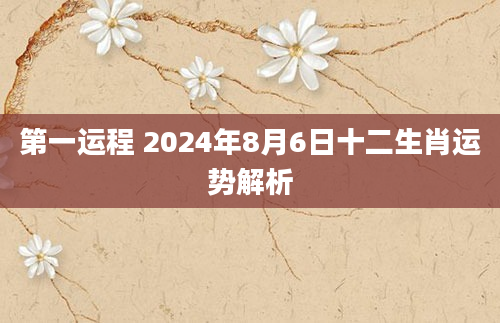 第一运程 2024年8月6日十二生肖运势解析