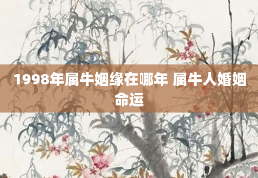 1998年属牛姻缘在哪年 属牛人婚姻命运