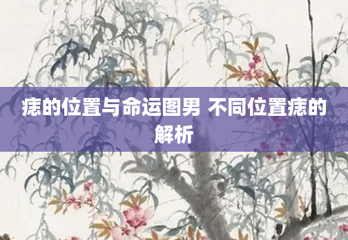 痣的位置与命运图男 不同位置痣的解析