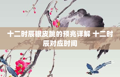 十二时辰眼皮跳的预兆详解 十二时辰对应时间