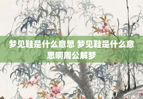 梦见鞋是什么意思 梦见鞋是什么意思啊周公解梦