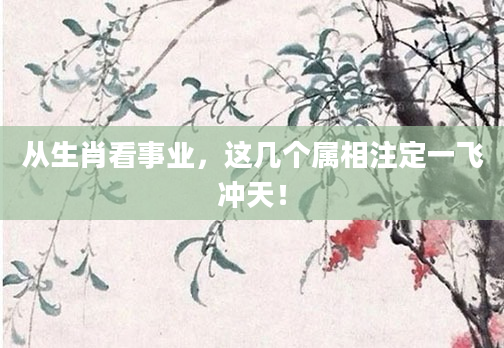从生肖看事业，这几个属相注定一飞冲天！