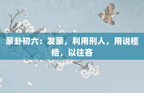 蒙卦初六:发蒙,利用刑人,用说桎梏,以往吝