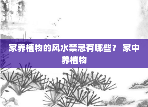 家养植物的风水禁忌有哪些? 家中养植物
