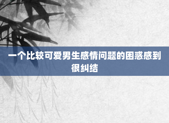 一个比较可爱男生感情问题的困惑感到很纠结