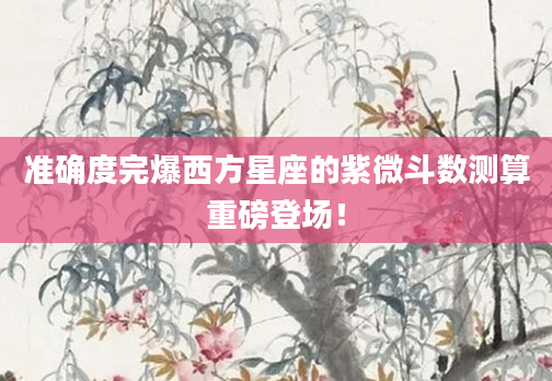 准确度完爆西方星座的紫微斗数测算重磅登场！