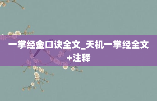 一掌经金口诀全文_天机一掌经全文+注释