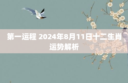第一运程 2024年8月11日十二生肖运势解析