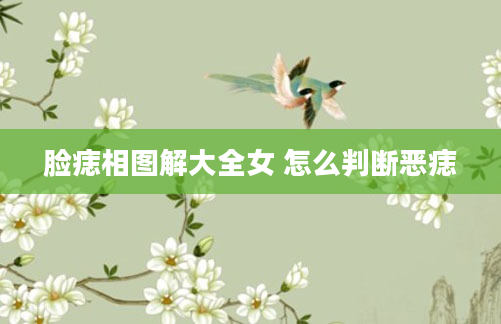 脸痣相图解大全女 怎么判断恶痣