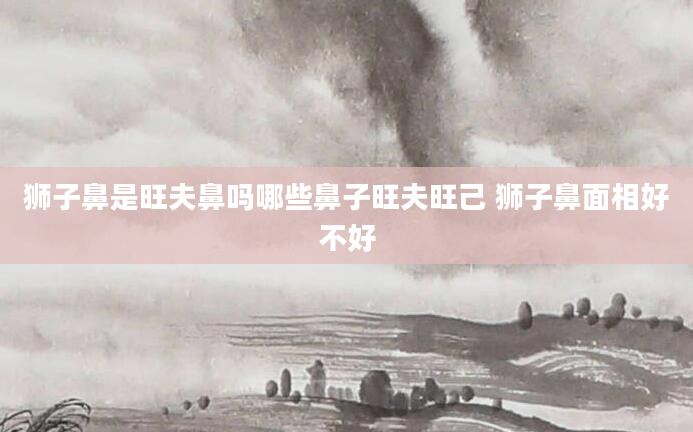 狮子鼻是旺夫鼻吗哪些鼻子旺夫旺己 狮子鼻面相好不好
