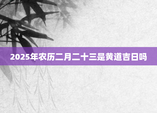 2025年农历二月二十三是黄道吉日吗