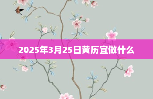 2025年3月25日黄历宜做什么
