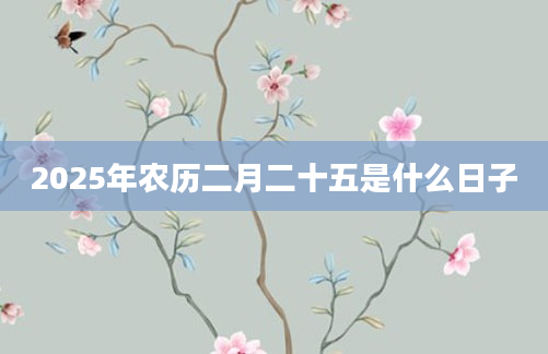 2025年农历二月二十五是什么日子