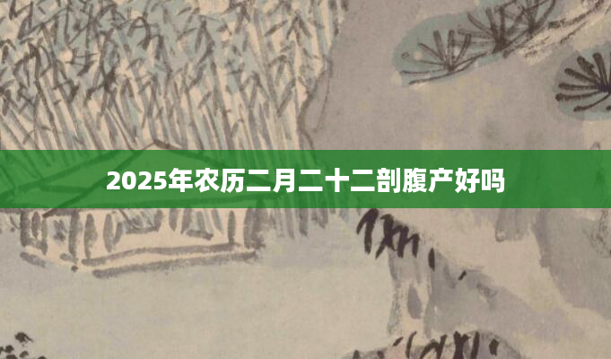 2025年农历二月二十二剖腹产好吗