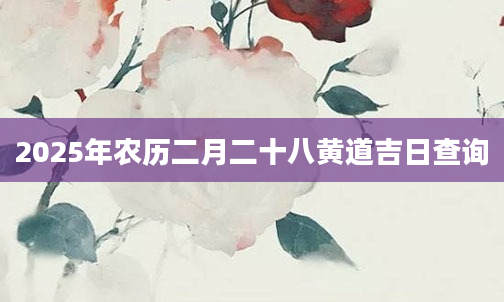 2025年农历二月二十八黄道吉日查询