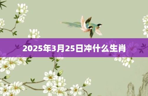 2025年3月25日冲什么生肖