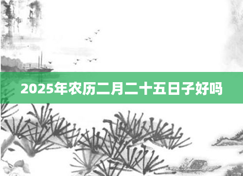 2025年农历二月二十五日子好吗