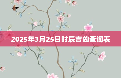 2025年3月25日时辰吉凶查询表