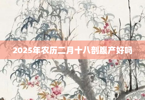 2025年农历二月十八剖腹产好吗