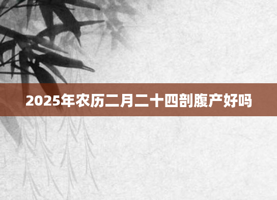 2025年农历二月二十四剖腹产好吗