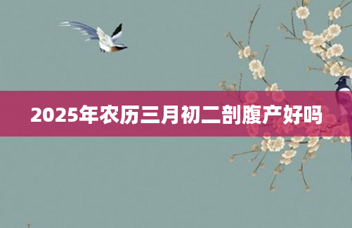 2025年农历三月初二剖腹产好吗