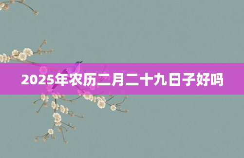 2025年农历二月二十九日子好吗