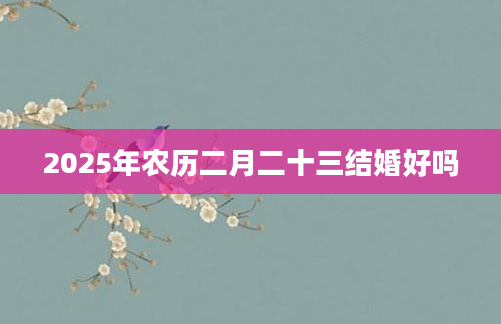 2025年农历二月二十三结婚好吗