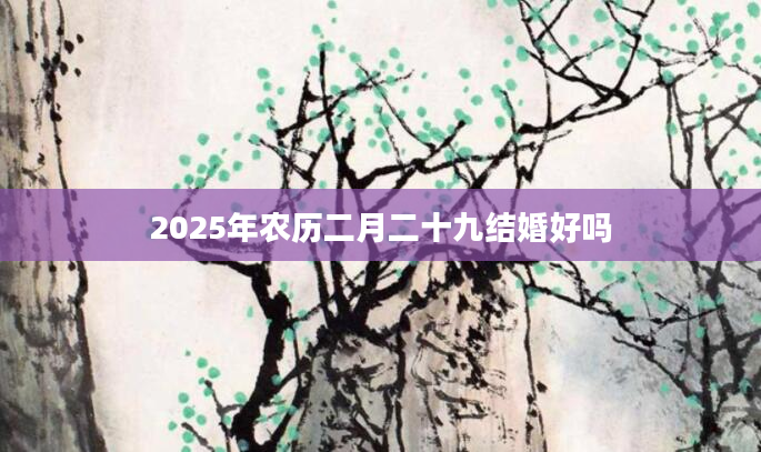 2025年农历二月二十九结婚好吗
