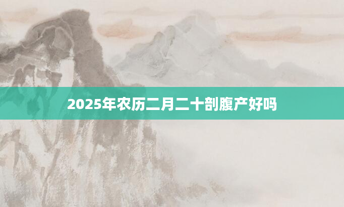 2025年农历二月二十剖腹产好吗