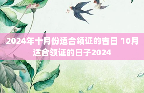 2024年十月份适合领证的吉日 10月适合领证的日子2024