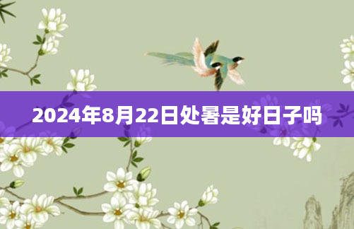 2024年8月22日处暑是好日子吗