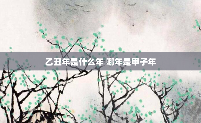 乙丑年是什么年 哪年是甲子年